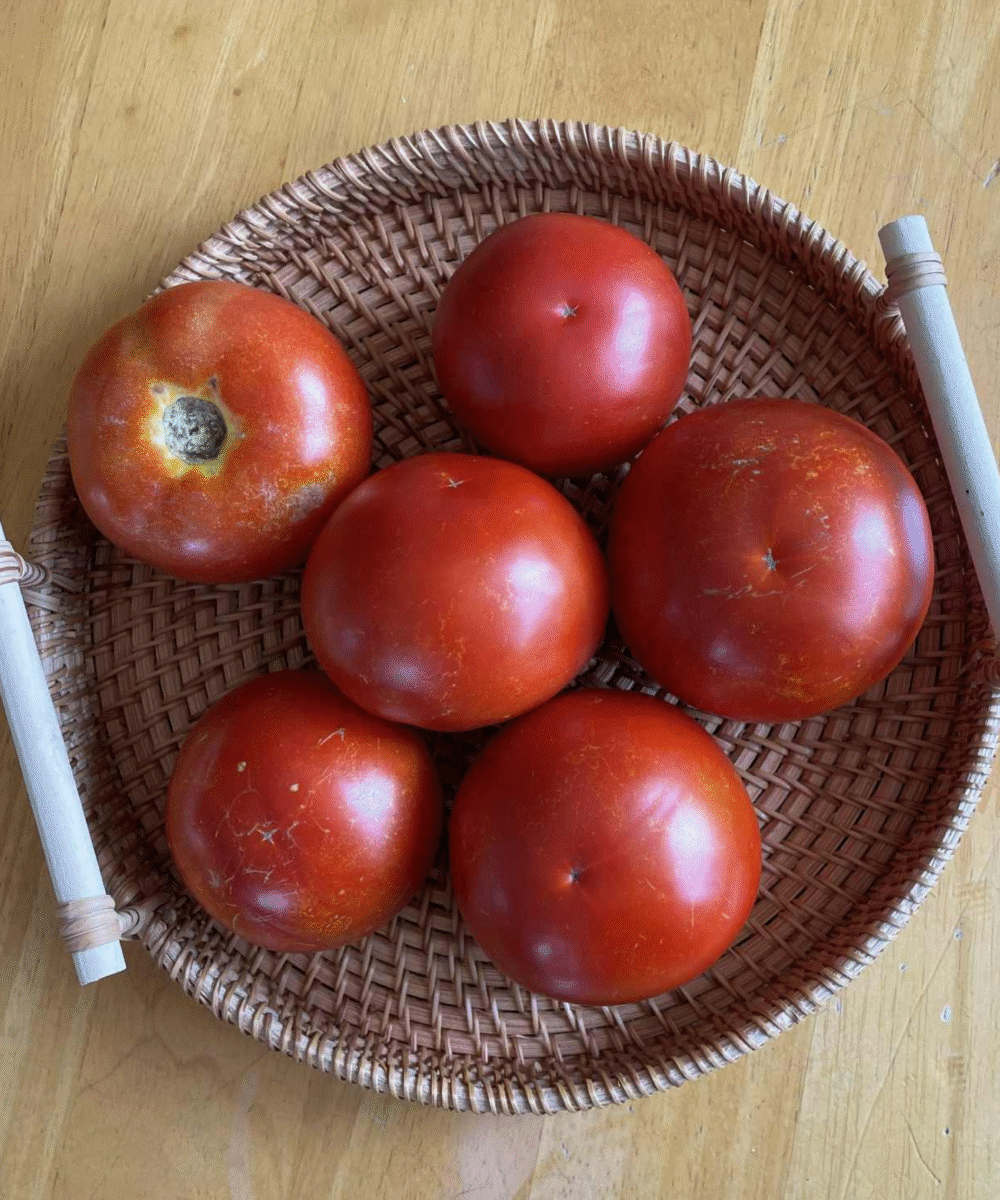 Solatni paradižnik (1 kg)