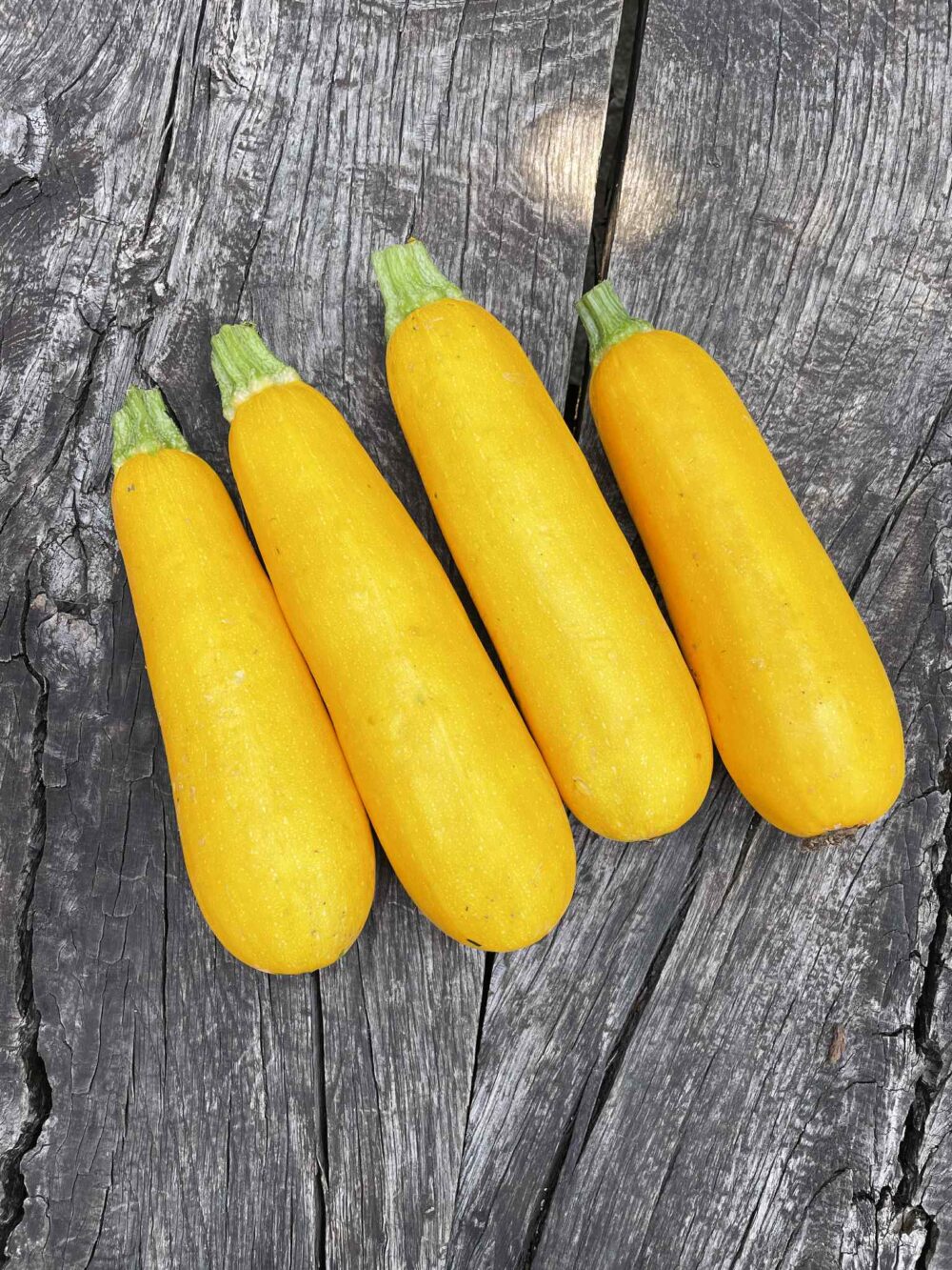 Bučke, zelene in rumene (1 kg) - slika 2