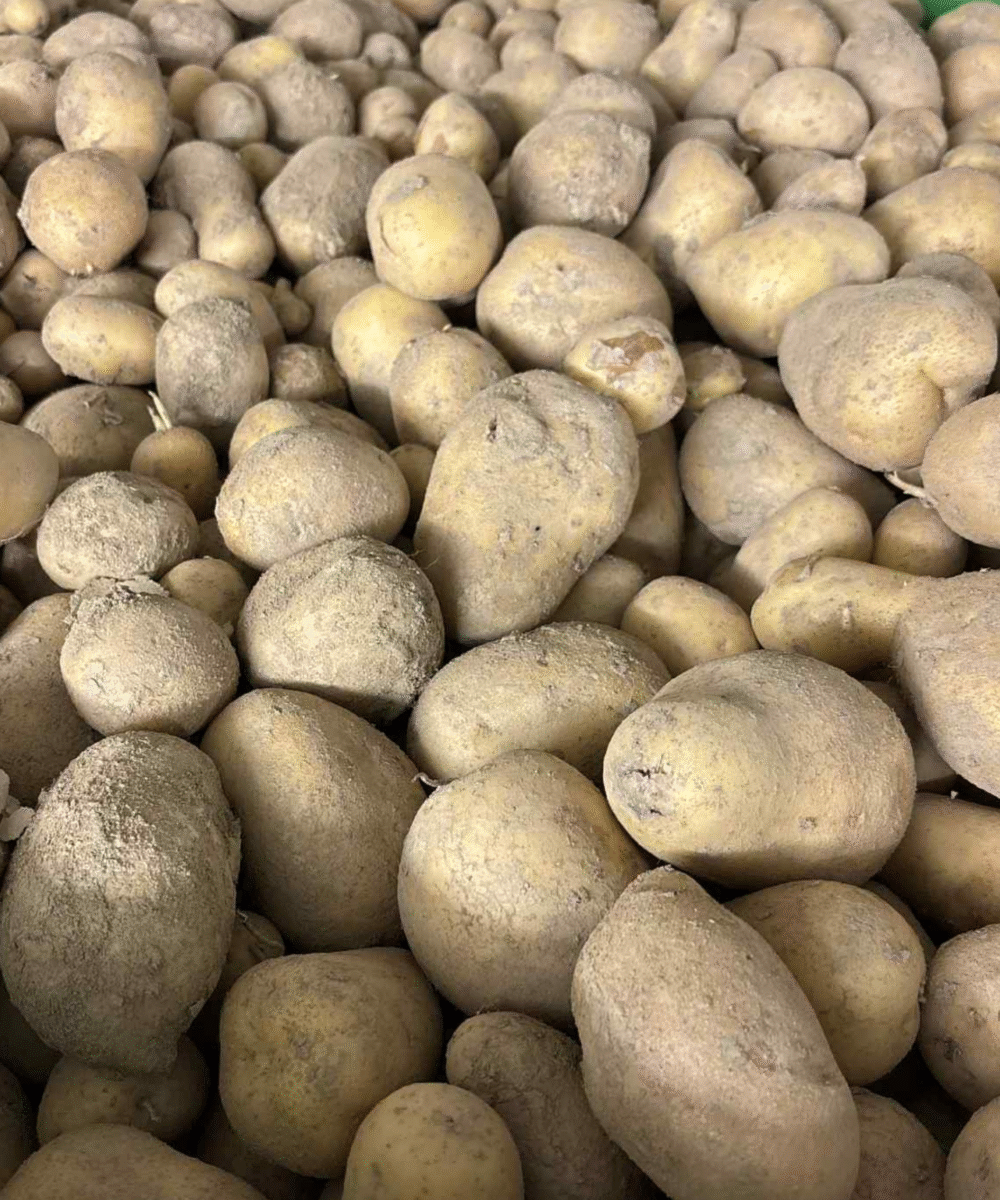 Krompir za ozimnico (5/10 kg)