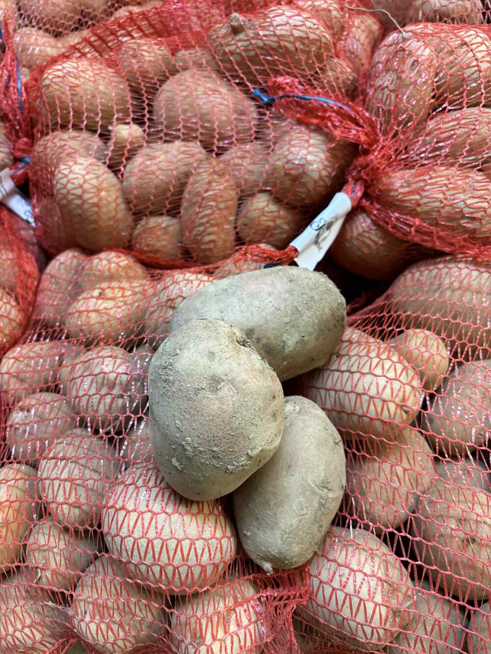 Krompir za ozimnico (5/10 kg) - slika 5