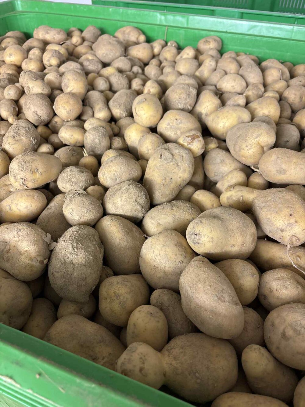 Krompir za ozimnico (5/10 kg) - slika 4