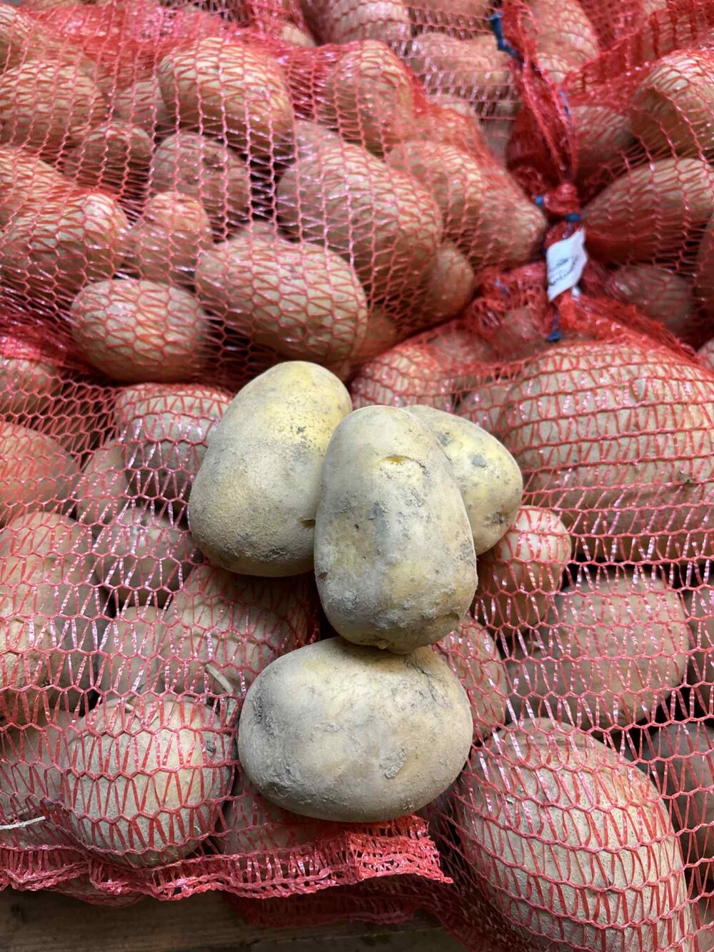 Krompir za ozimnico (5/10 kg) - slika 6