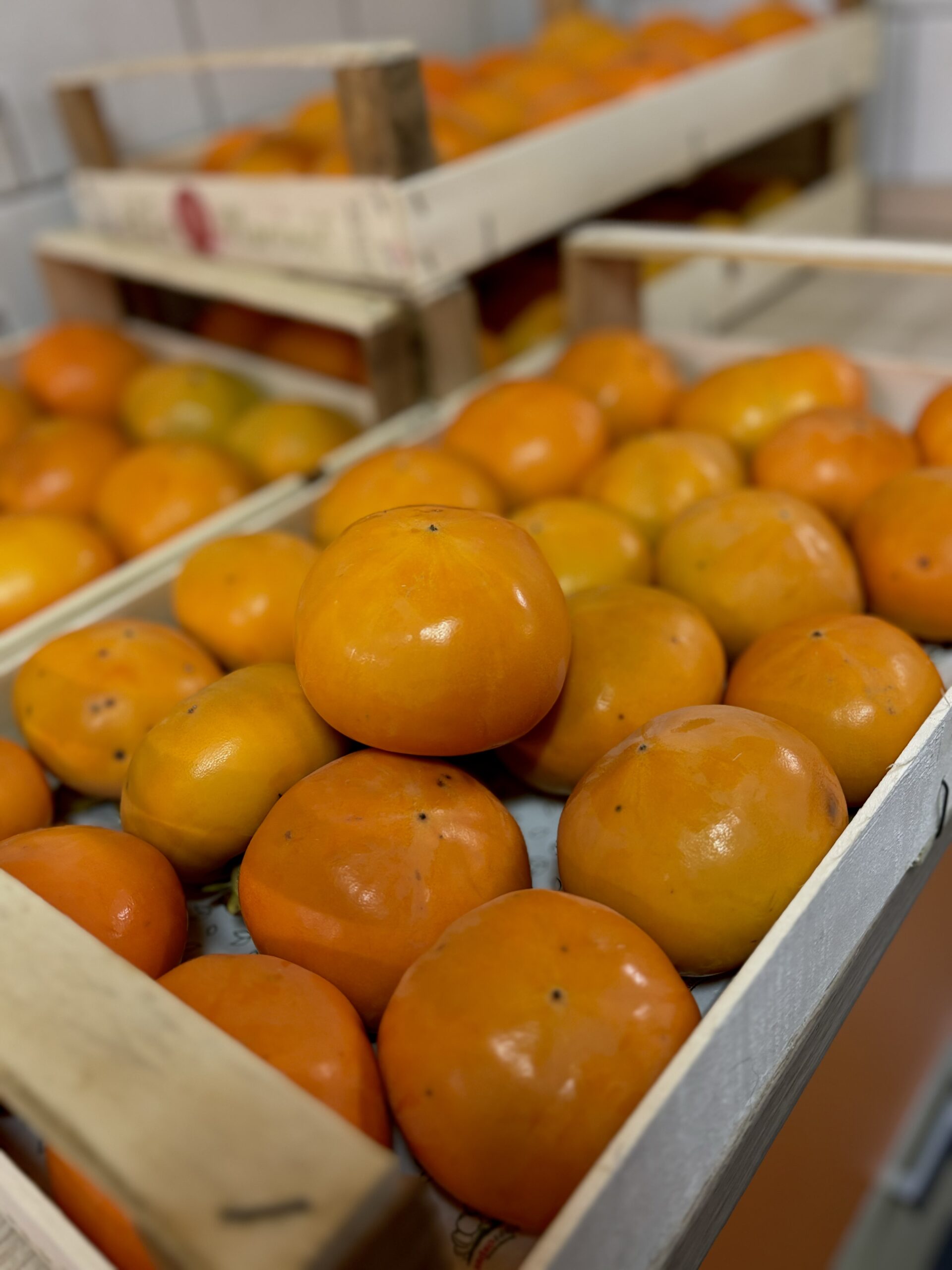 EKO kaki, trdoužiten (1/2,5/4 kg)